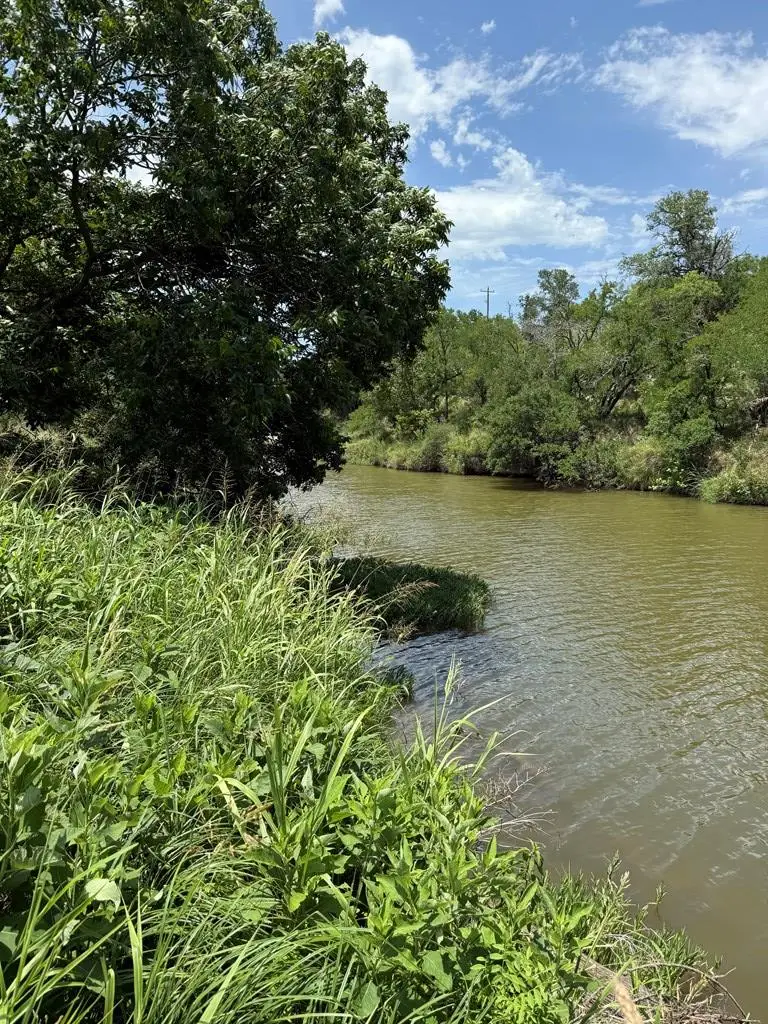 341 River View Rd, Fredericksburg, TX 78624 - Image #2