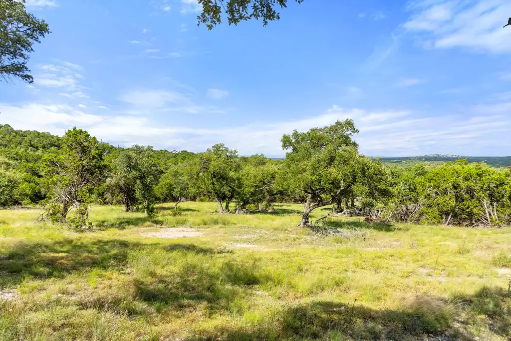 2219 Hiline Dr, Bulverde, TX 78163 - #1