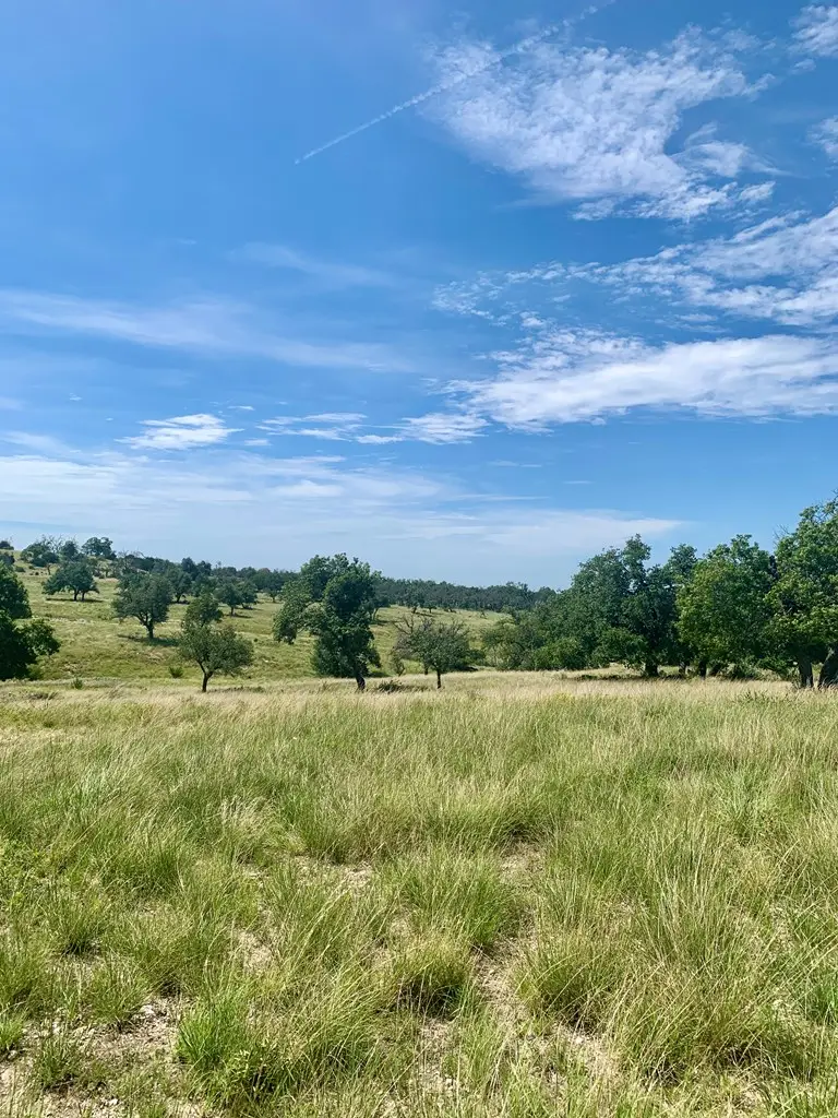 Lot 26 Dancing Sun Rd, Fredericksburg, TX 78624 - Image #3