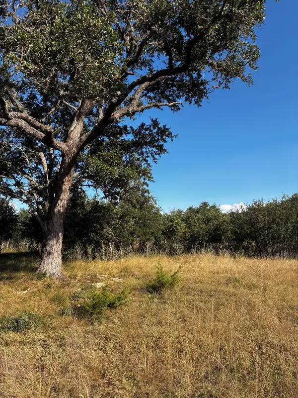 103 Lee Hall, Blanco, TX 78606