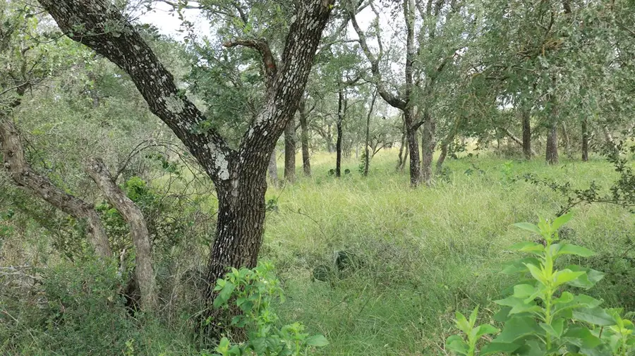 TBD Fm 2340, Burnet, TX 78611 - Image #2