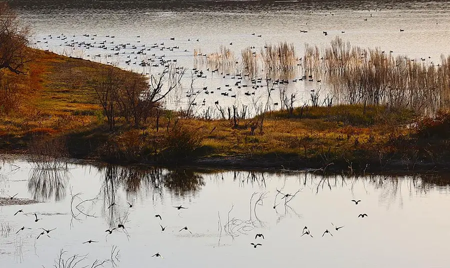 3388 Cr 3388, Melvin, TX 76858 - Image #2