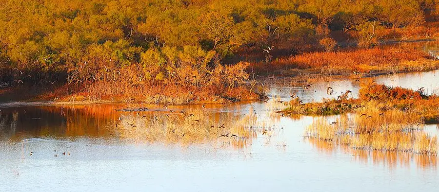 3388 Cr 3388, Melvin, TX 76858 - Image #3