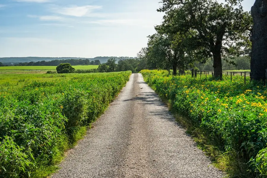 449 Luke Hayes Way, Fredericksburg, TX 78624 - Image #3