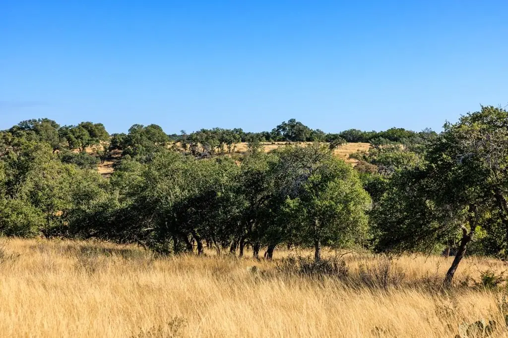 Lot 20 Mayers Ridge Dr, Kerrville, TX 78028 - Image #1