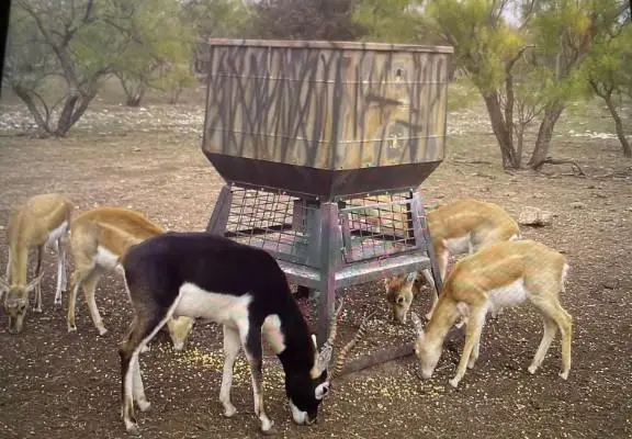 587 Valley Rd, Eldorado, TX 76936 - Image #2