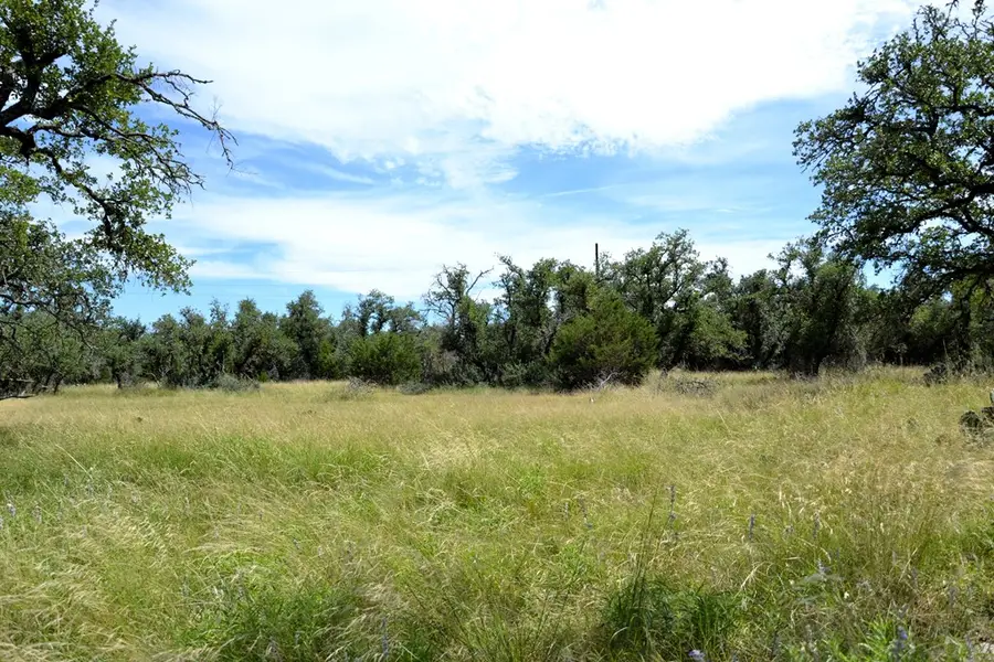 185 Palomino Oaks Dr, Harper, TX 78631 - Image #2