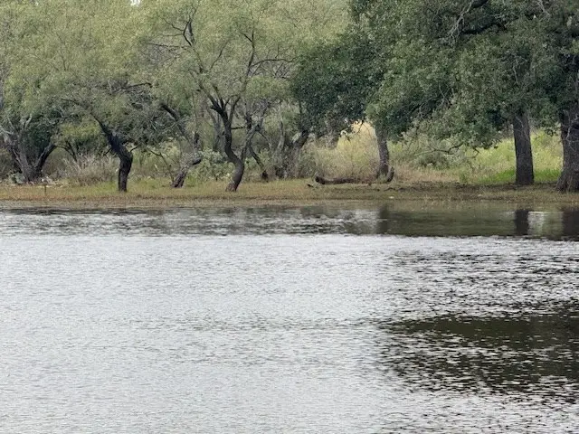 3722 Ranch Rd 2241, Llano, TX 78643 - Image #3