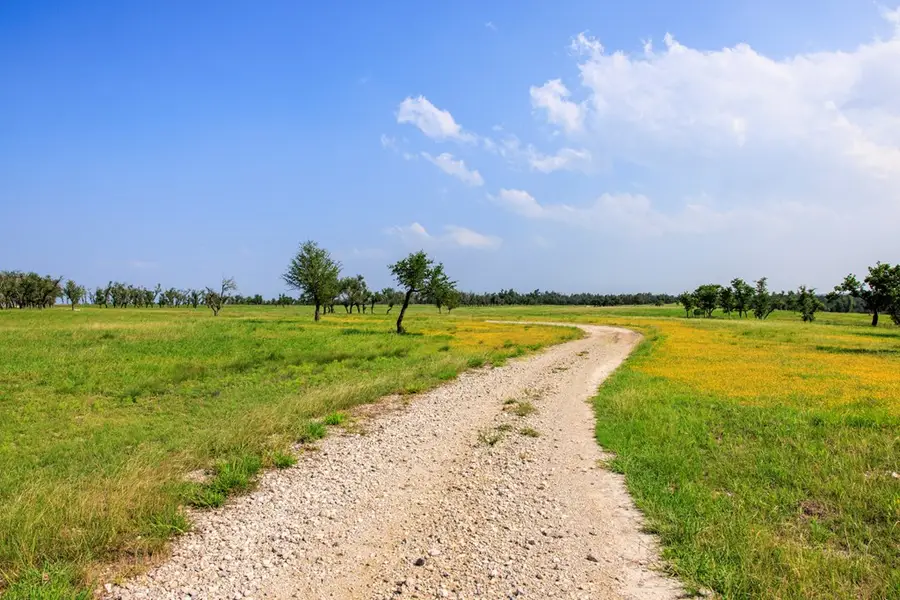 Address Withheld By Seller, Fredericksburg, TX 78624 - Image #3