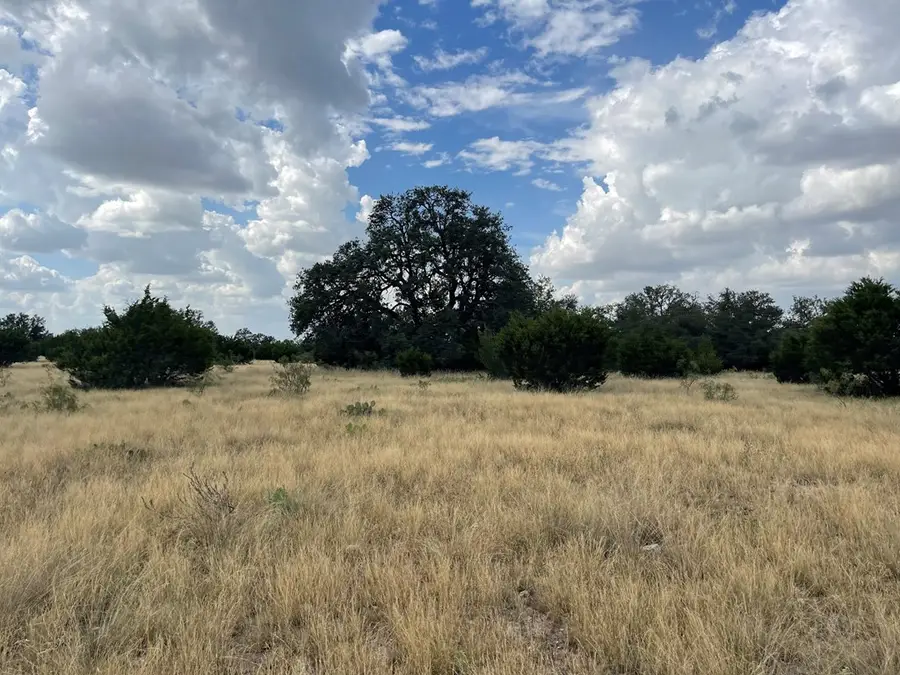 2664 County Rd 220, Eldorado, TX 76936 - Image #3
