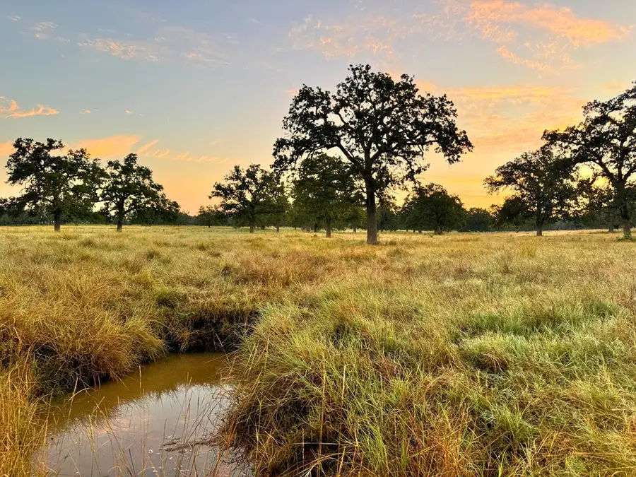 5-- Silas Trail, Fredericksburg, TX 78624 - Image #2