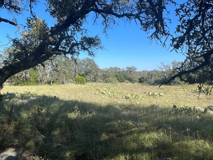 Tract 8 Elm Springs Dr, Menard, TX 76859 - Image #2