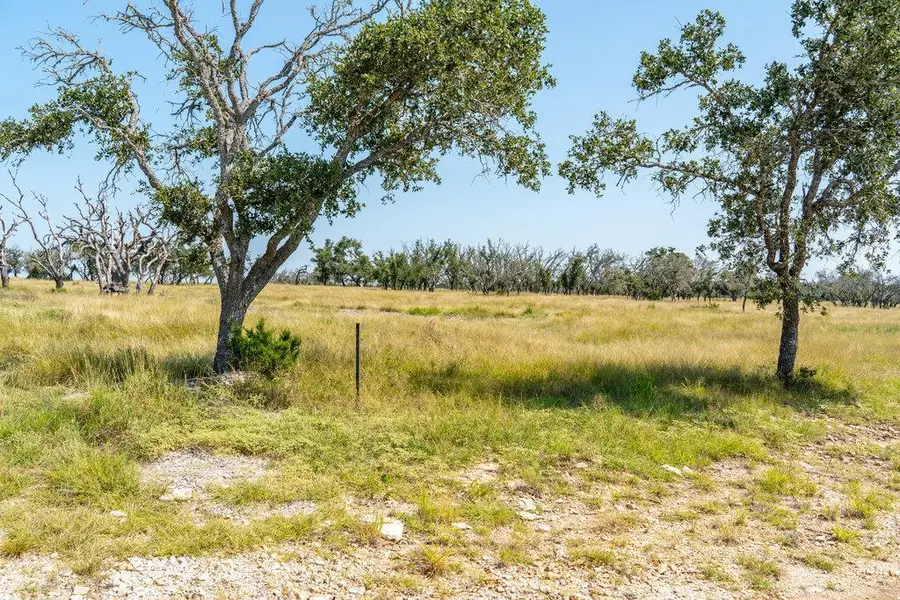 Lot 100 Packsaddle Dr, Harper, TX 78631 - Image #3