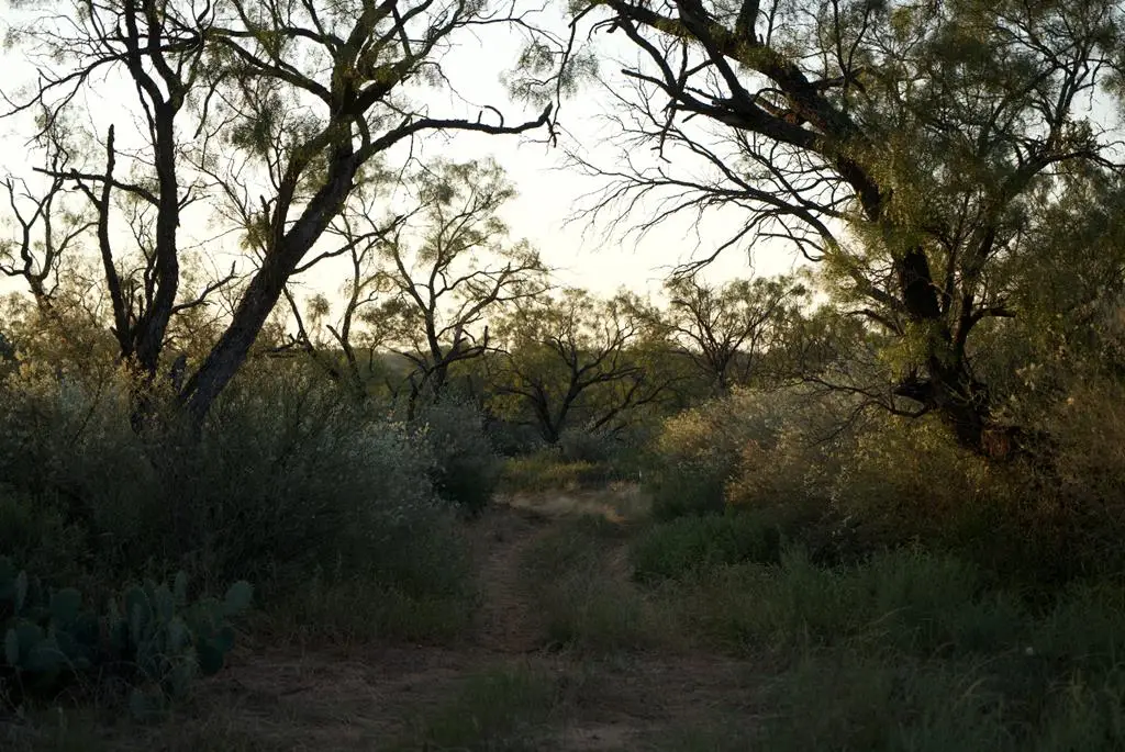 2035 County Rd 4483, Rochelle, TX 76872 - Image #1