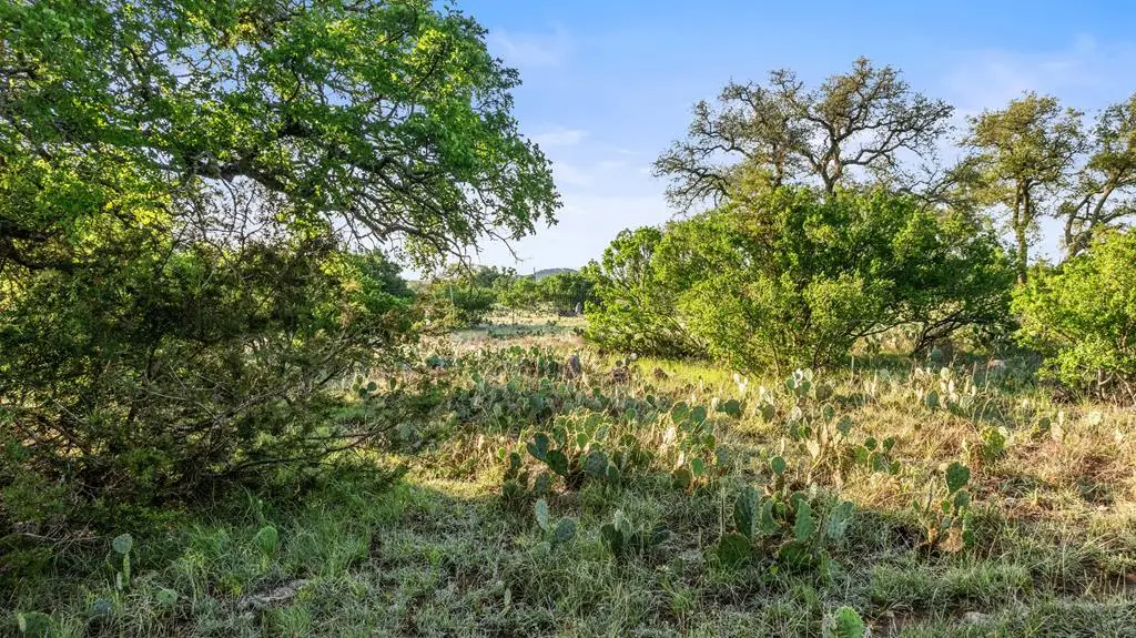 Lot 4 Vista Ridge Dr, Round Mountain, TX 78663 - #1
