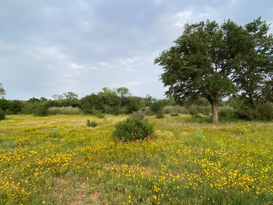 Tract 11 Jack Rabbit Rd, Doss, TX 78618 - Image #2