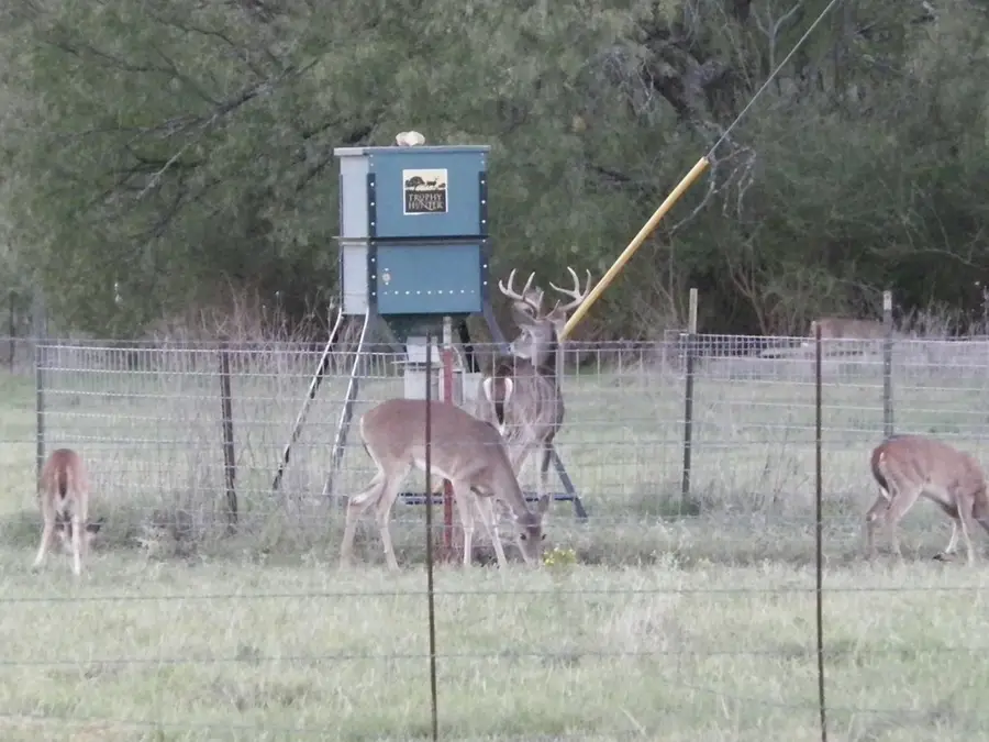 4849 Fm 1030, San Saba, TX 76877 - #2