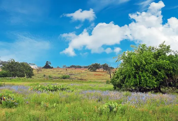 1101 Dreamcatcher Ln., Fredericksburg, TX 78631