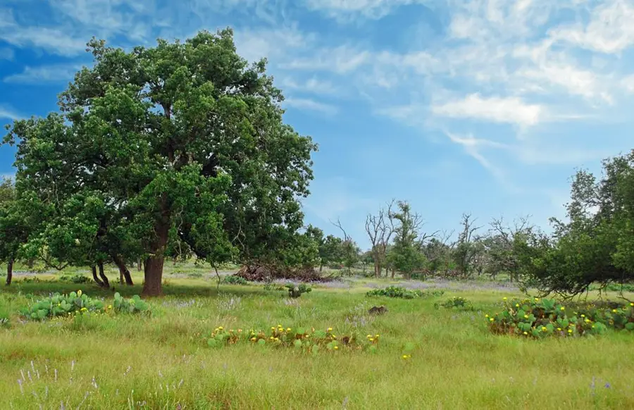 1101 Dreamcatcher Ln., Harper, TX 78631 - Image #2