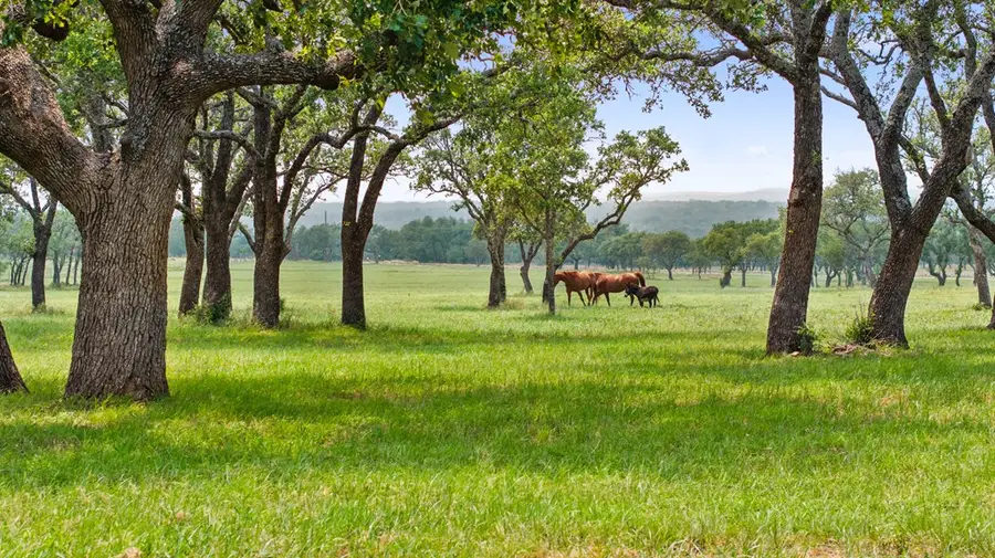 3431 Klett Ranch Rd, Johnson City, TX 78636 - Image #3