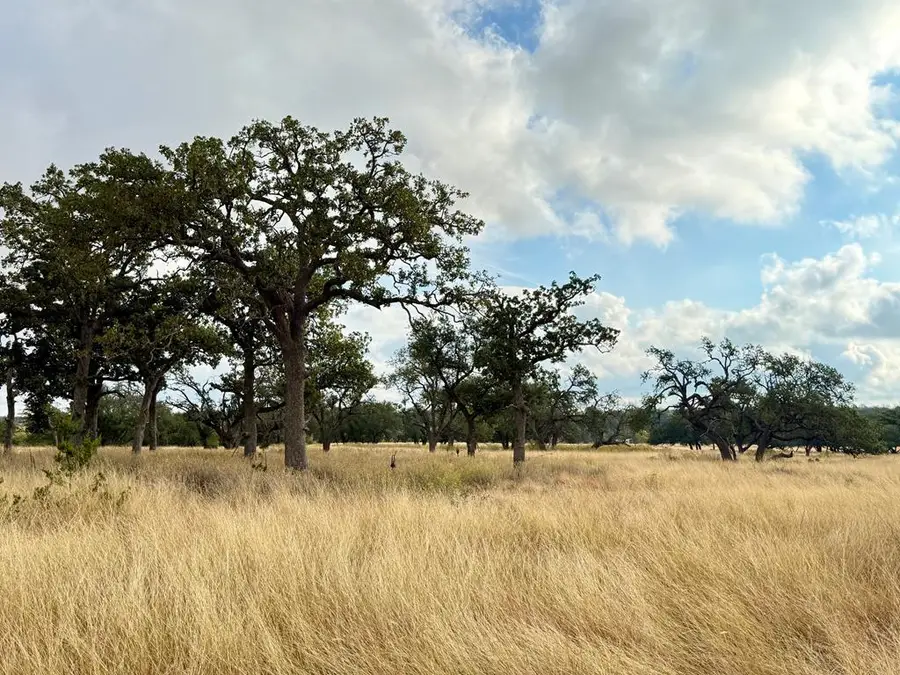 290 Stallion Dr, Harper, TX 78631 - Image #2