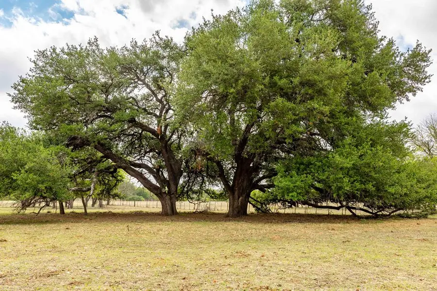 753 Lonesome Trail, Fredericksburg, TX 78624 - #3