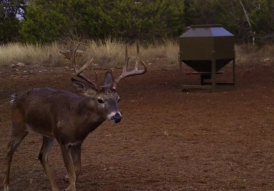 212 Summer Hill Dr, Johnson City, TX 78636 - #3