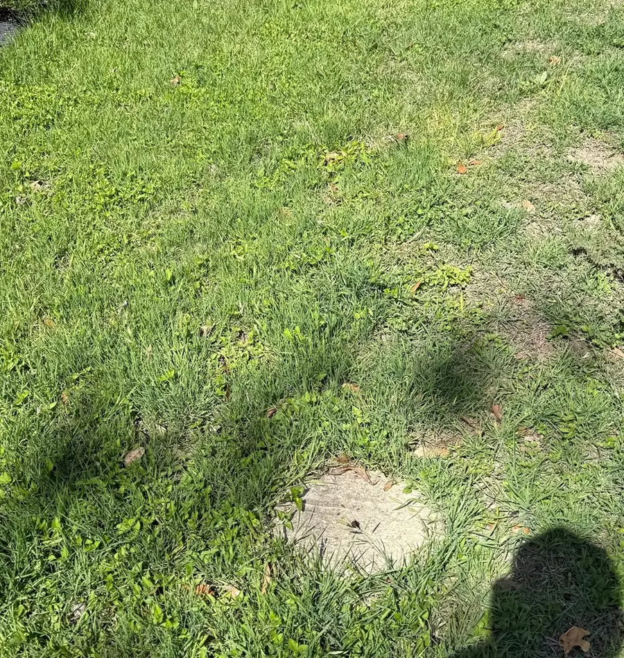 204 W Peach St, Fredericksburg, TX 78624 - Image #3