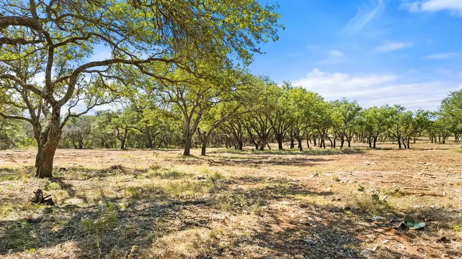 2560 Towhead Valley Road, Johnson City, TX 78636 - Image #3