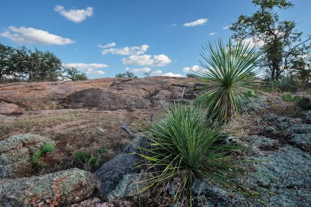 Address Withheld By Seller, Fredonia, TX 76842 - Image #1