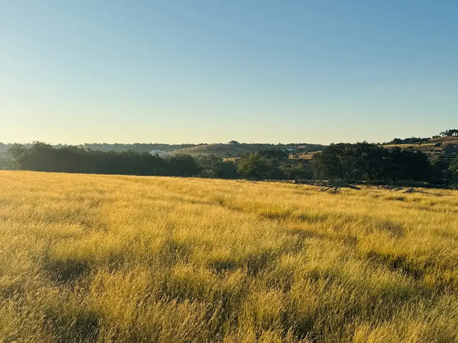 Address Withheld By Seller, Blanco, TX 78606 - Image #3