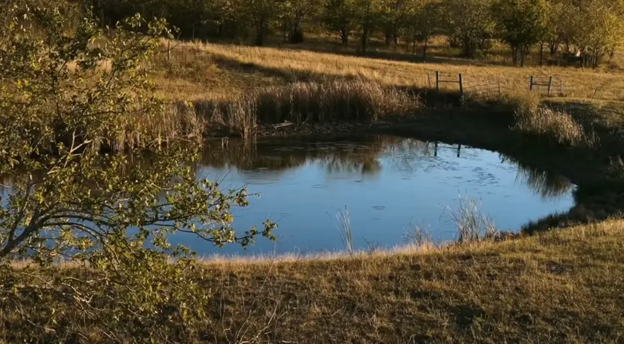 1179 E Fm 813, Palmer, TX 75152 - Image #3