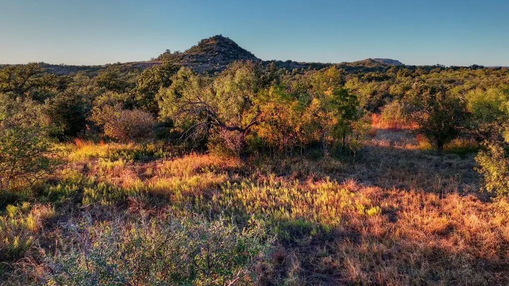 18248 Bode Peak Rd, Valley Spring, TX 76869 - Image #1