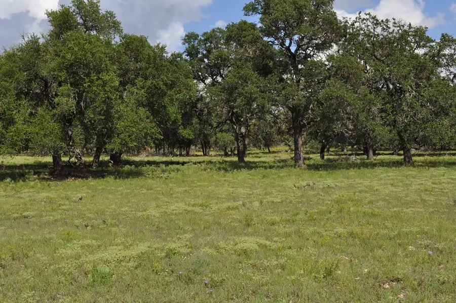 18043 Fm 479, Harper, TX 78631 - Image #2