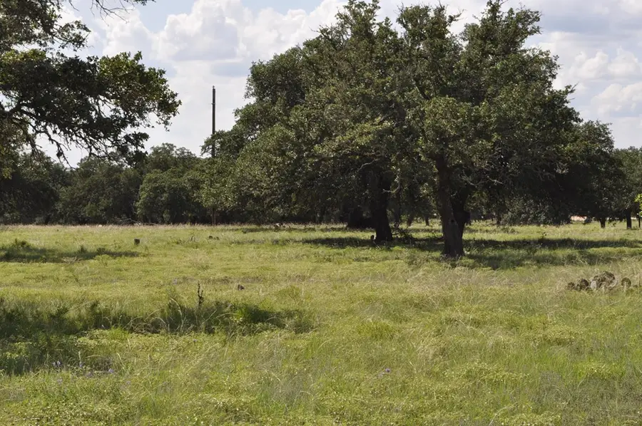 18043 Fm 479, Harper, TX 78631 - Image #3