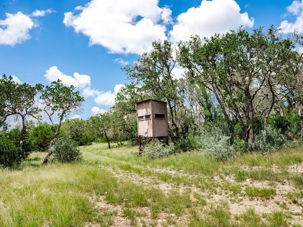 1632 Link, Doss, TX 78618 - #1