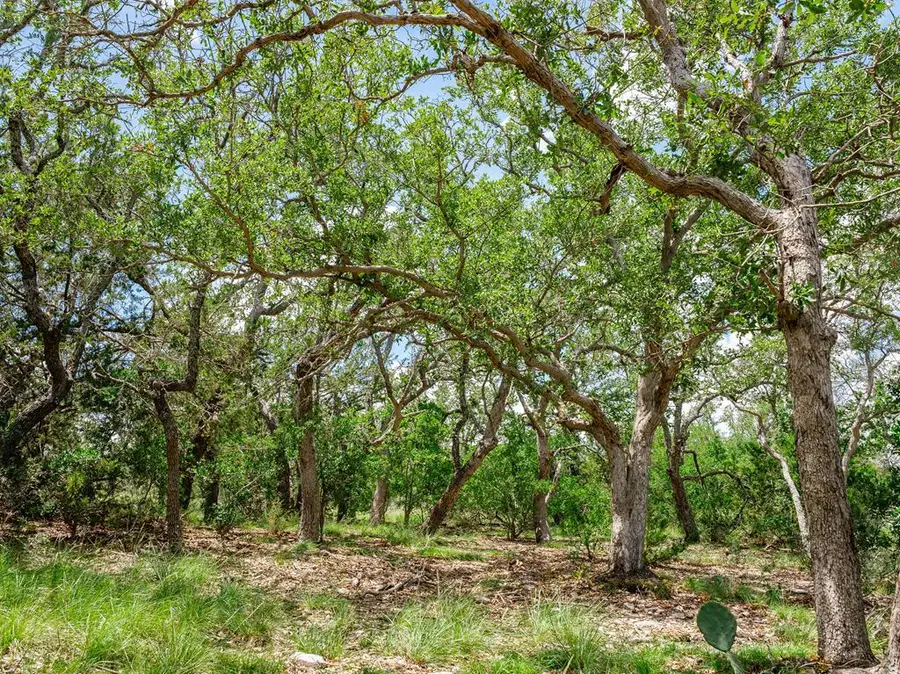 1632 Link, Doss, TX 78618 - #2