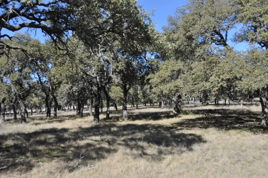 371 Kimble Oaks Dr, Harper, TX 78631 - Image #2