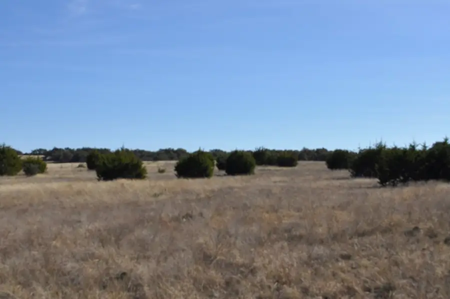 17987 Fm 479, Harper, TX 78631 - Image #2