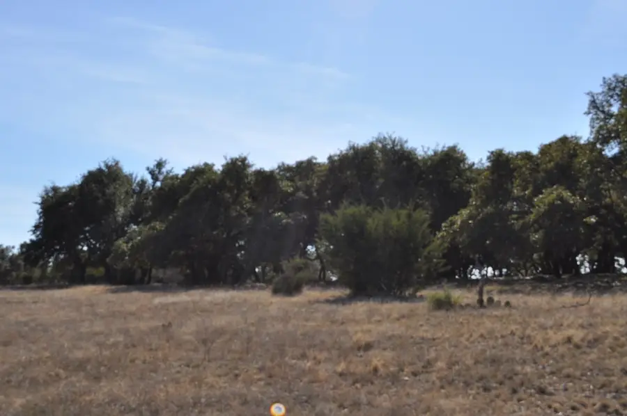 17987 Fm 479, Harper, TX 78631 - Image #3