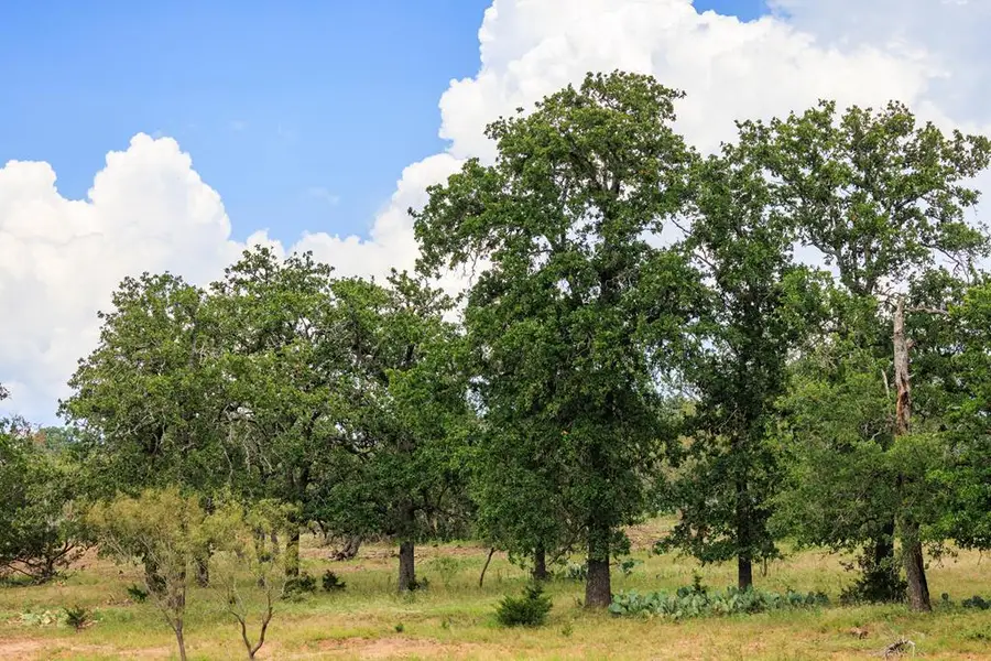 1050 Cain City Rd, Fredericksburg, TX 78624 - Image #2