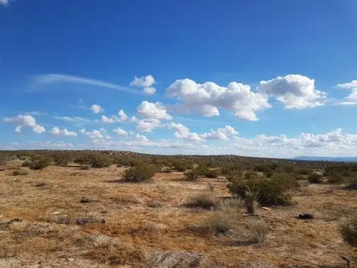 TBD Borcula, Horizon City, TX 79928 - #3