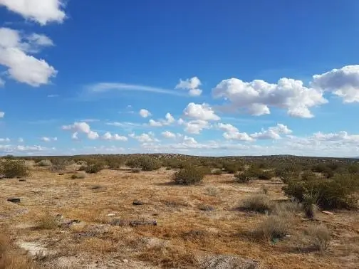 TBD Zachary Ave, Horizon City, TX 79928 - #1