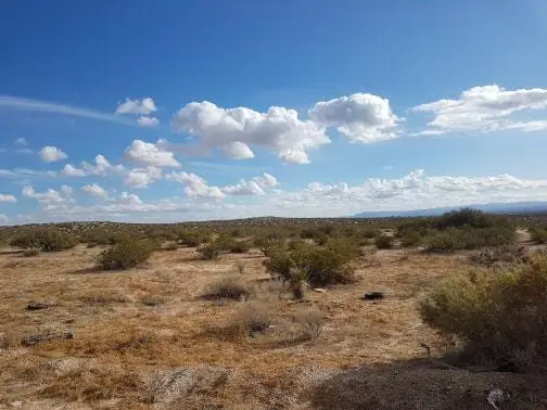 TBD Venwert, Horizon City, TX 79928 - #2