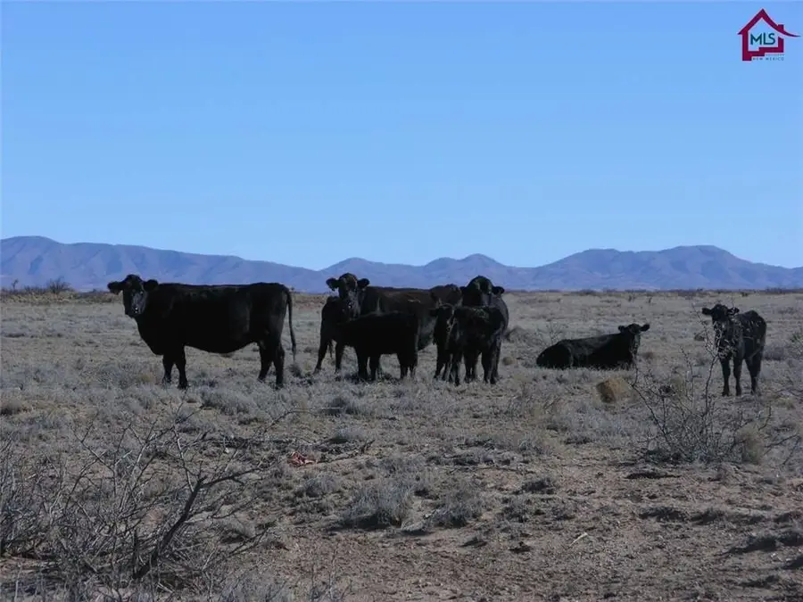 736 Upham Road, Elephant Butte, NM 87935 - Image #2