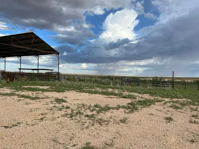 736 Upham Road, Elephant Butte, NM 87935 - Image #3