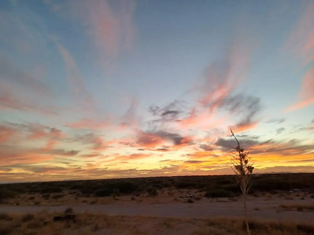 00 Leonora, Horizon City, TX 79928 - #1