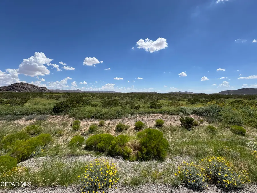 17500 Bettina Avenue, El Paso, TX 79938 - #3