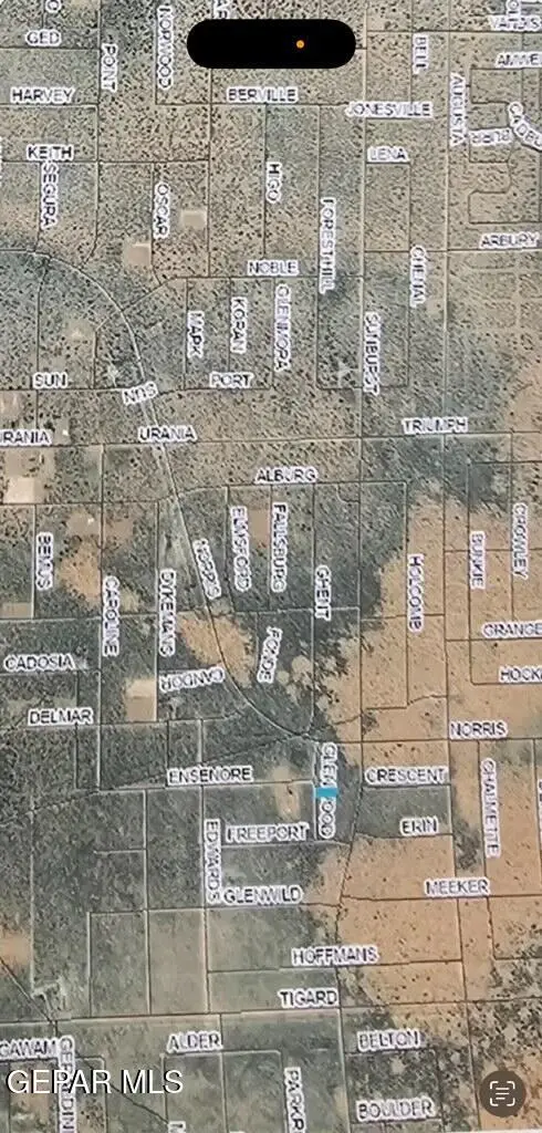 PN173614 Glenwood Court, Clint, TX 79928 - #2