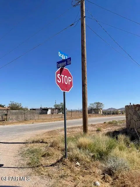 4248 Suwannee Street, El Paso, TX 79938 - #3